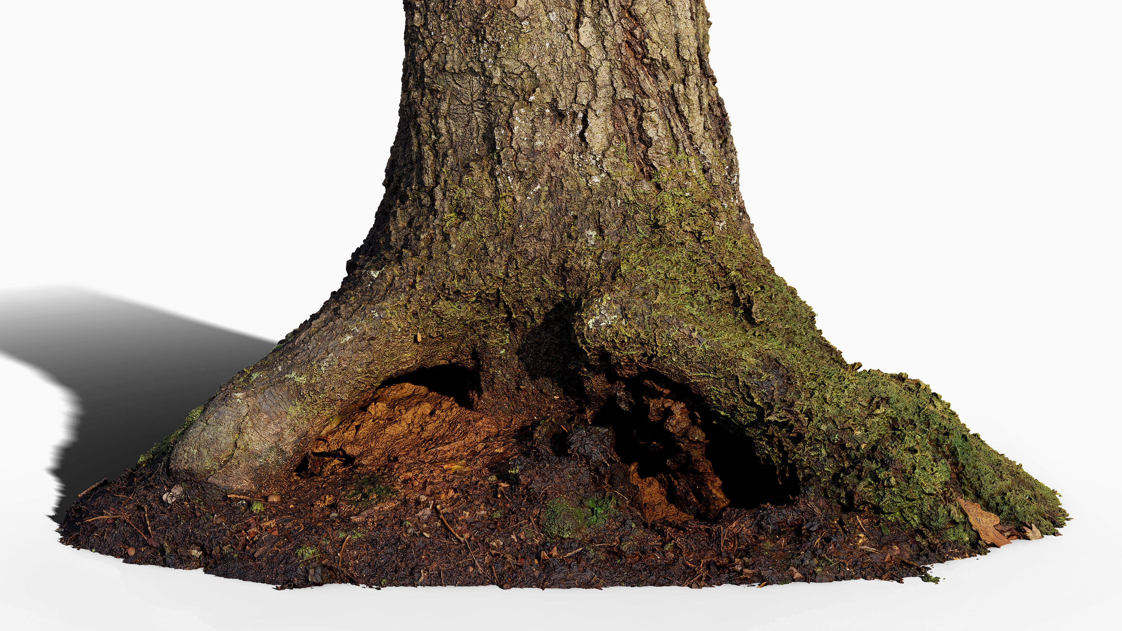 Broken Tree Stumps 01 Low-poly 3D model_13