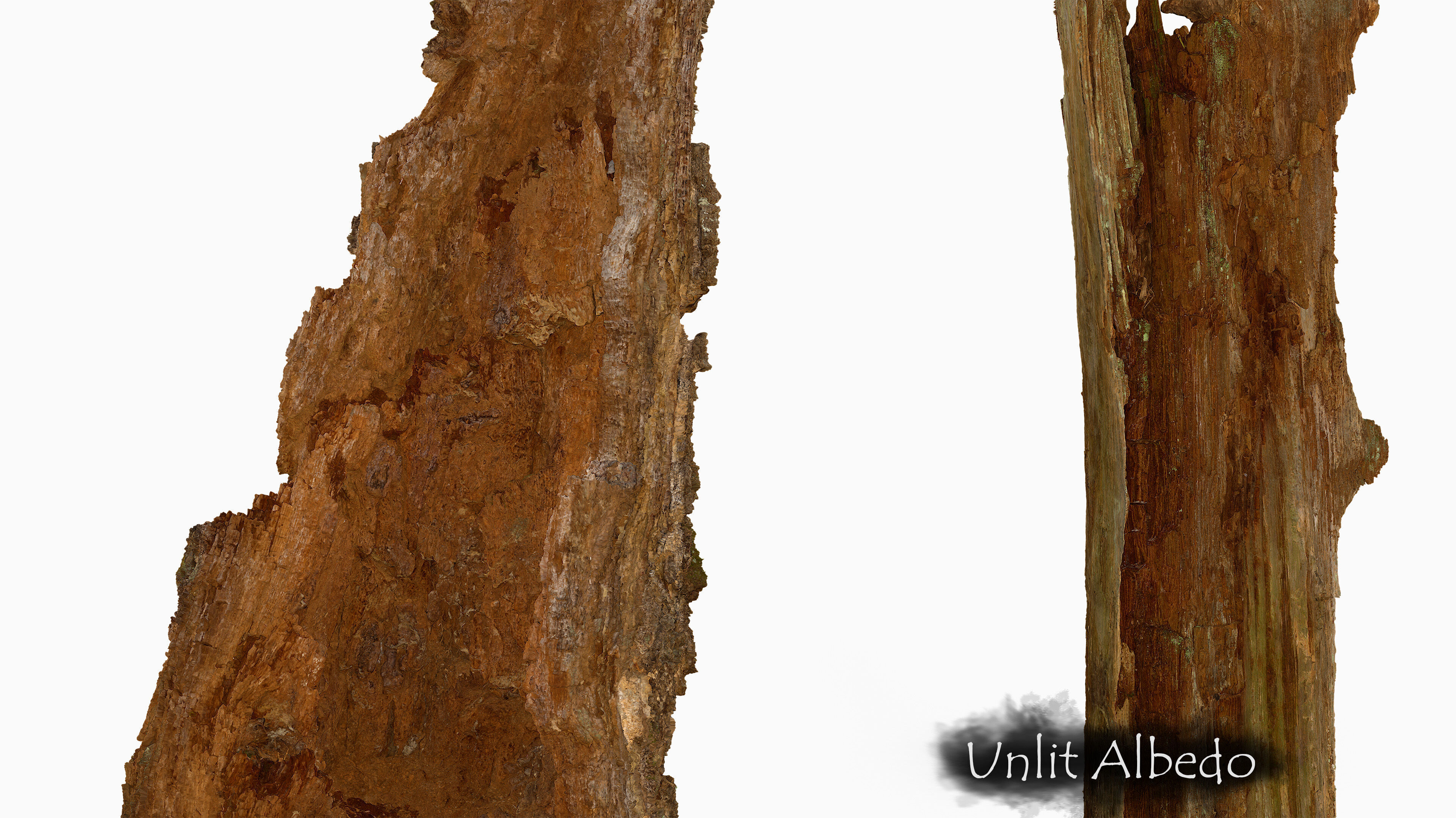 Broken Tree Stumps 01 Low-poly 3D model_6