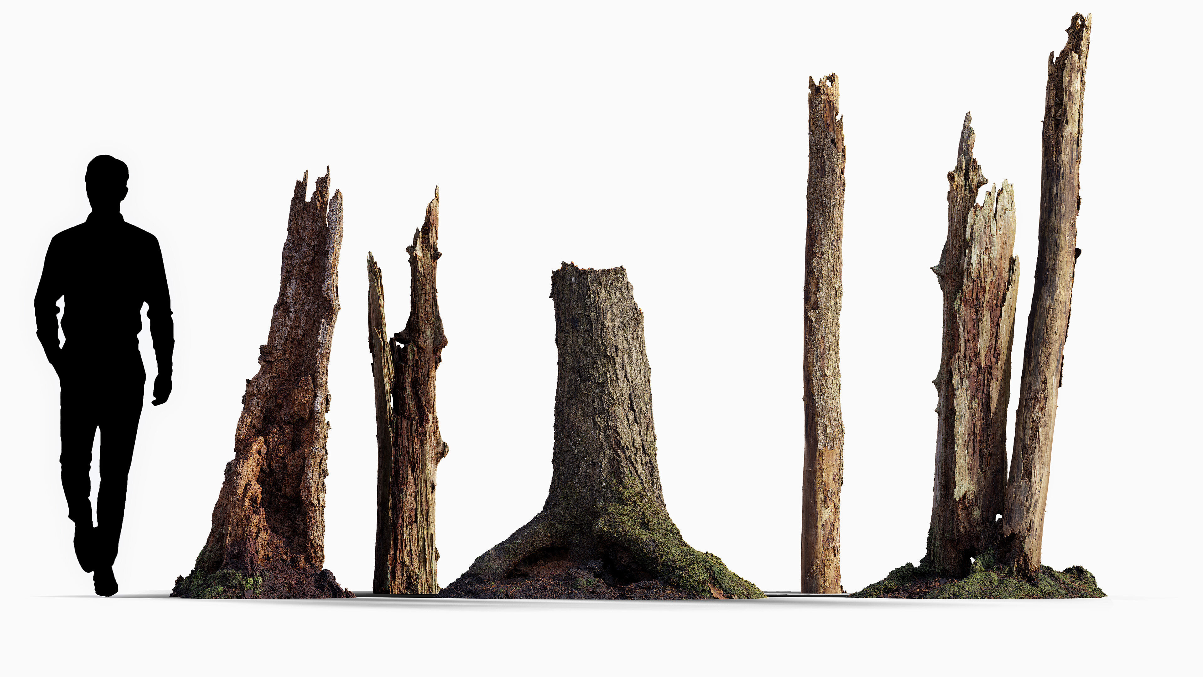 Broken Tree Stumps 01 Low-poly 3D model_2