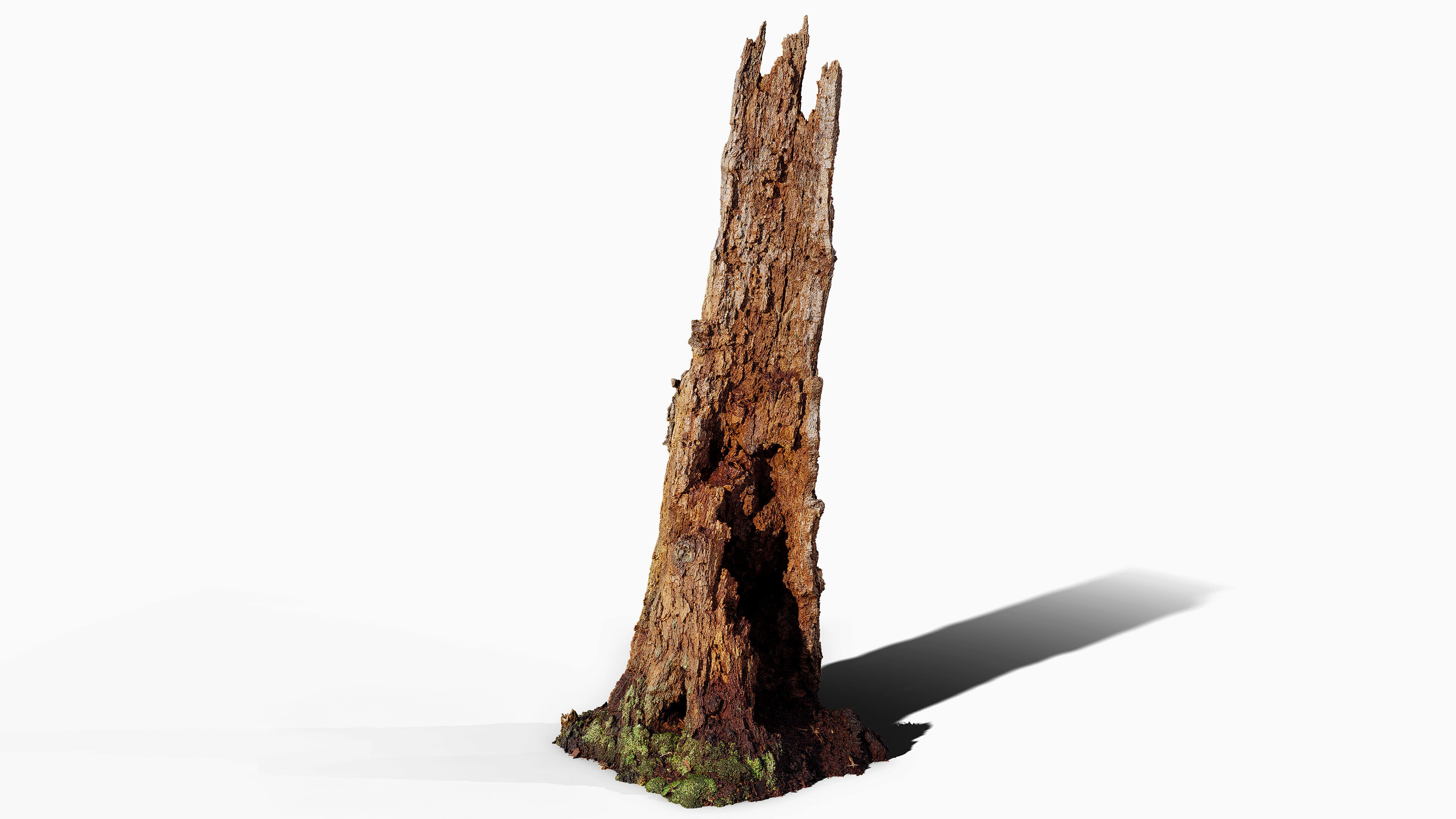 Broken Tree Stumps 01 Low-poly 3D model_7