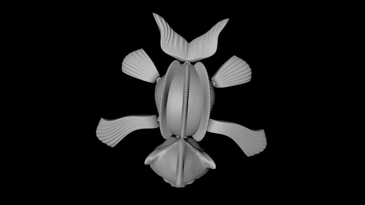 Articulated Catfish 3D print model_7