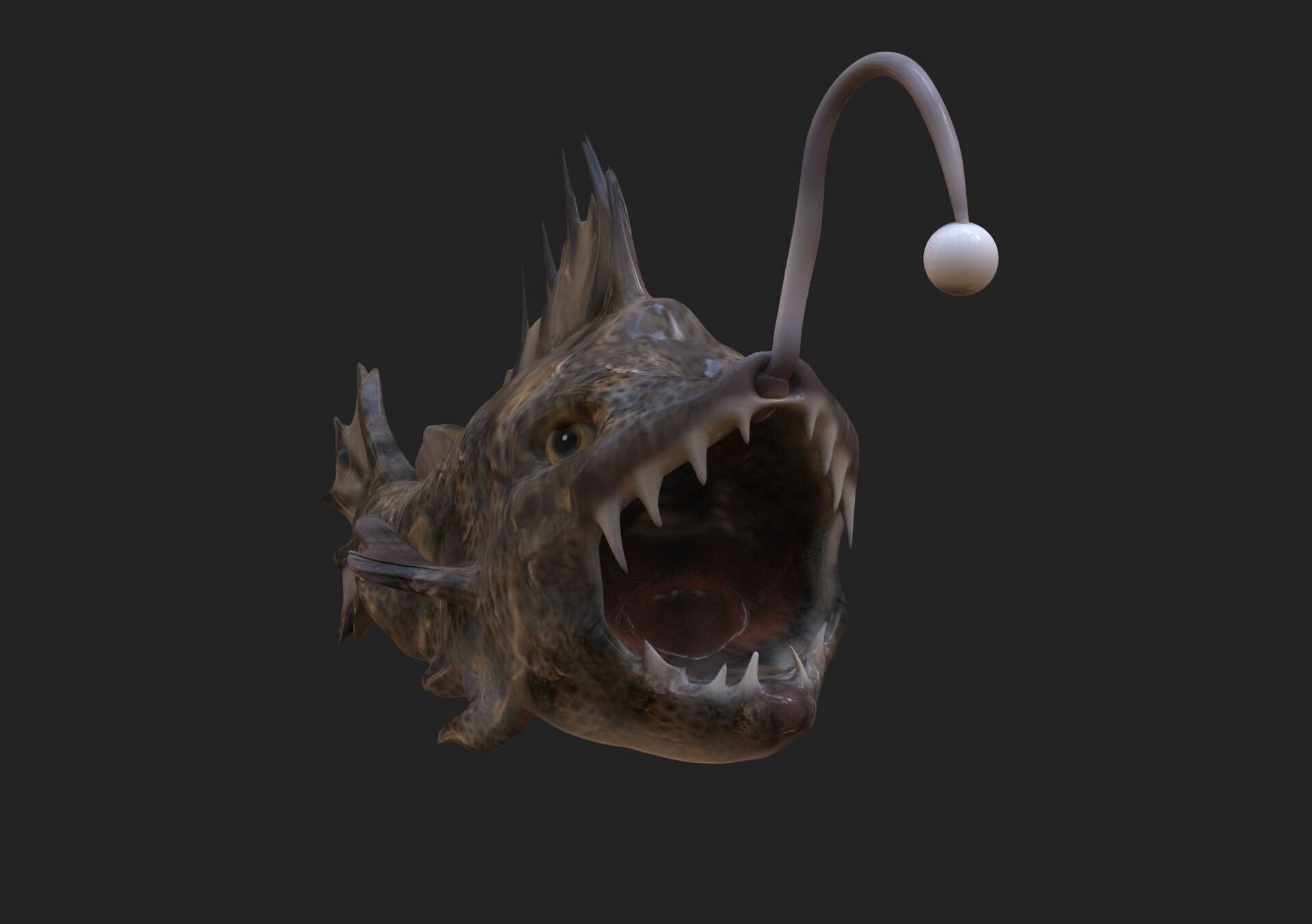 Devil Fish Low-poly 3D model_4