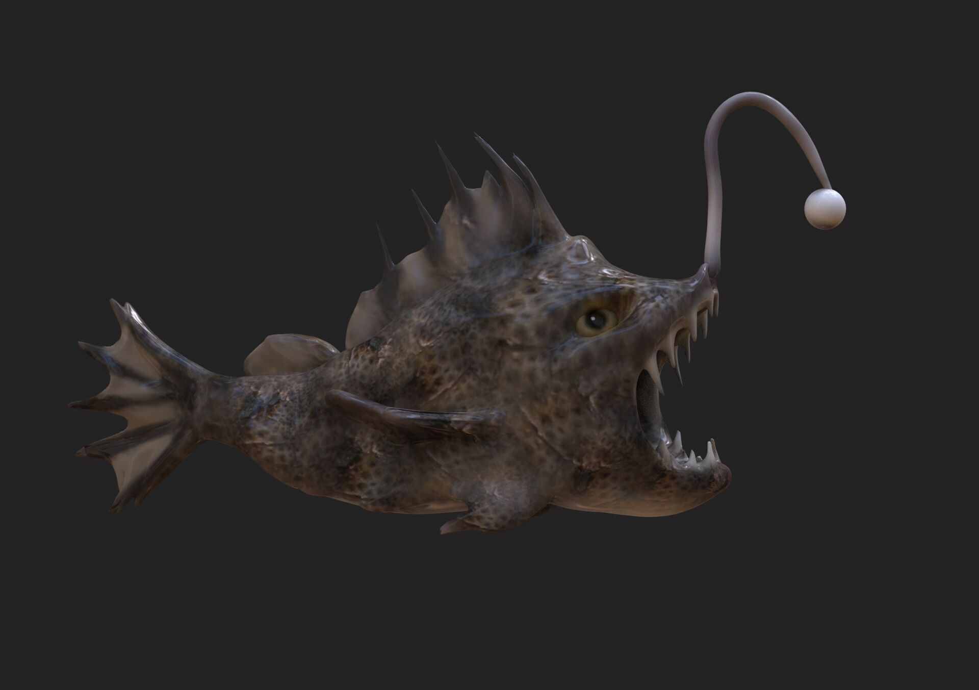 Devil Fish Low-poly 3D model_1