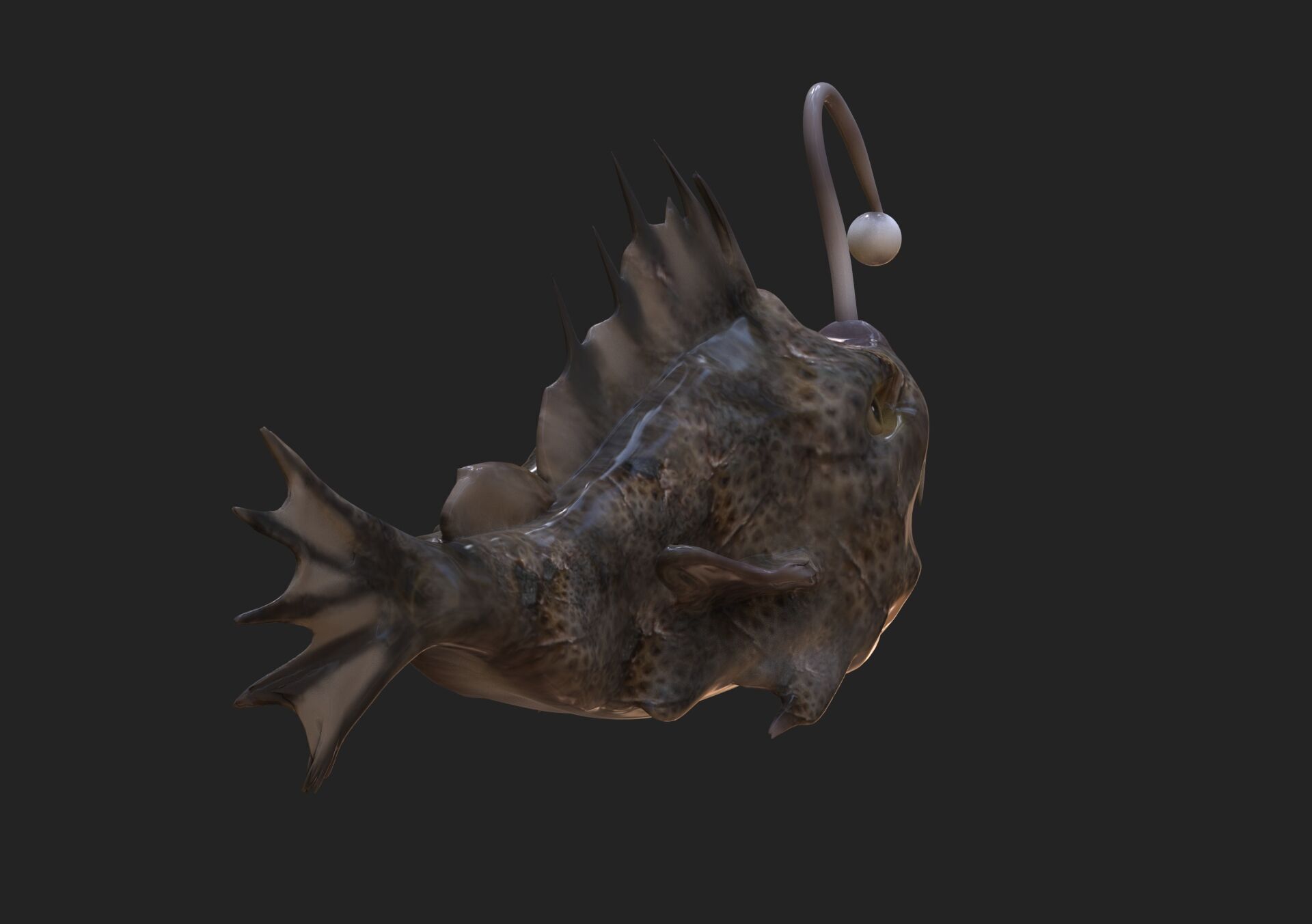 Devil Fish Low-poly 3D model_3