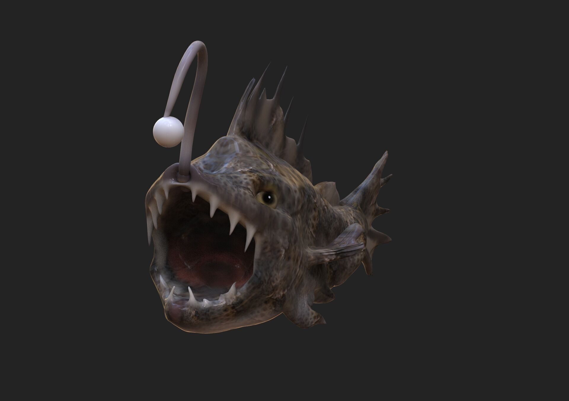 Devil Fish Low-poly 3D model_2