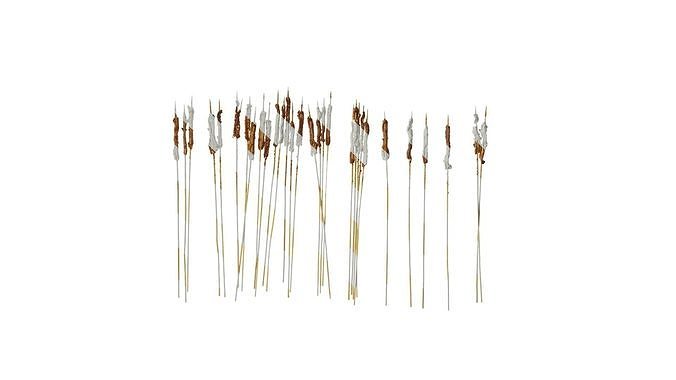 Anydrafts Kebabs 25 Texture
