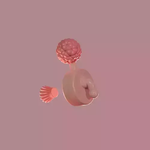 Plumbus Item Decorativo 3D