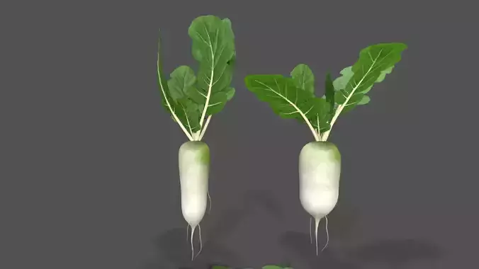 Purple Top White Globe Turnips Low-poly 3D model