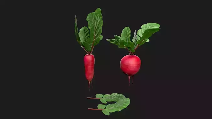 Purple Top White Globe Turnips Low-poly 3D model