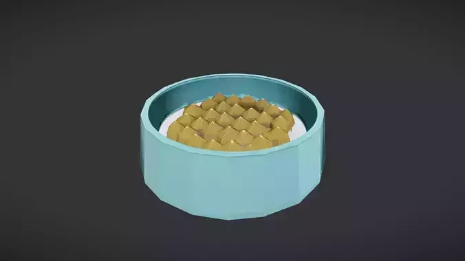 Pet food bowl with kibble