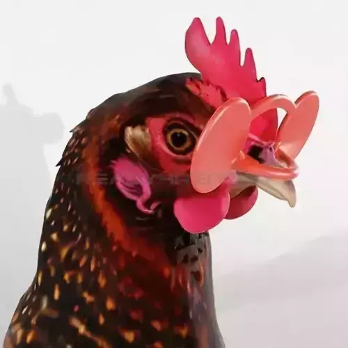 ANTI-EGG BREAKER HENS LENSES 3D print model