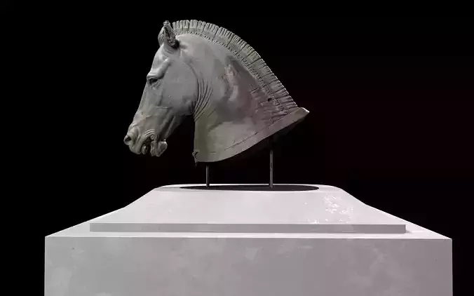 Horse Head Medici Riccardi