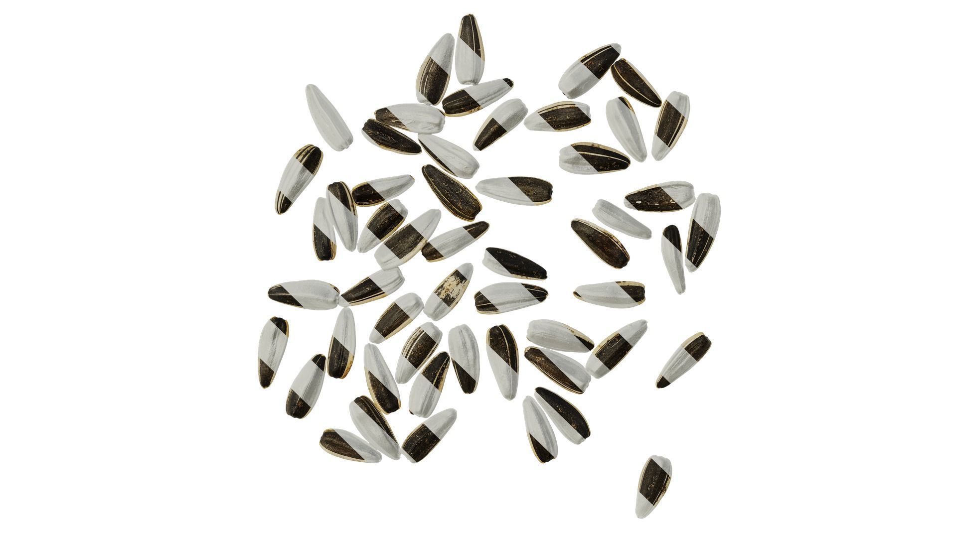 Anydrafts Melon seeds 02 Texture