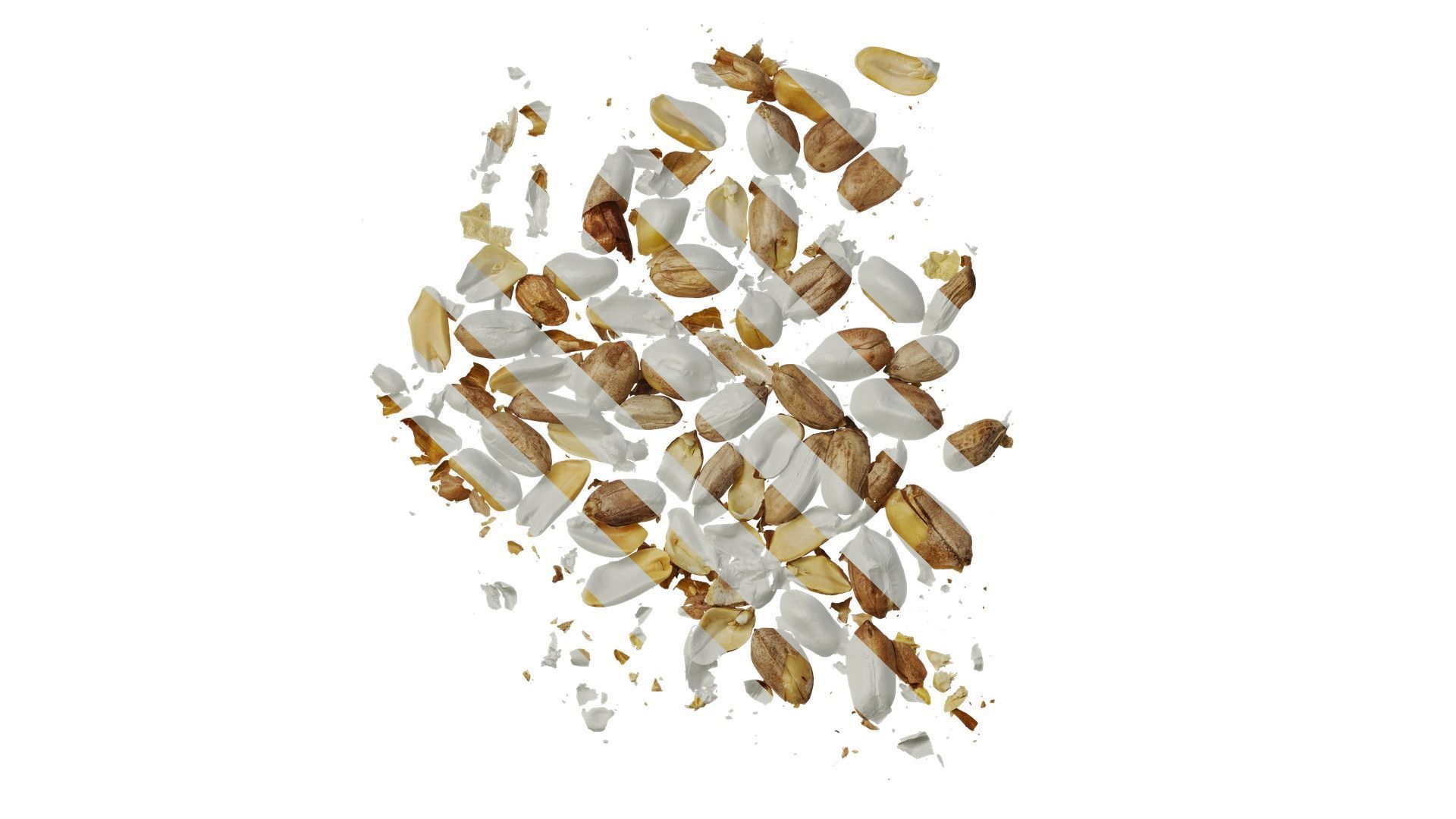 Anydrafts Peanut meat 02 Texture