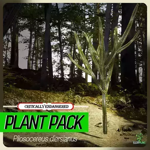 Critically Endangered Plant - 4 Pilosocereus diersianus Tree Low-poly 3D model