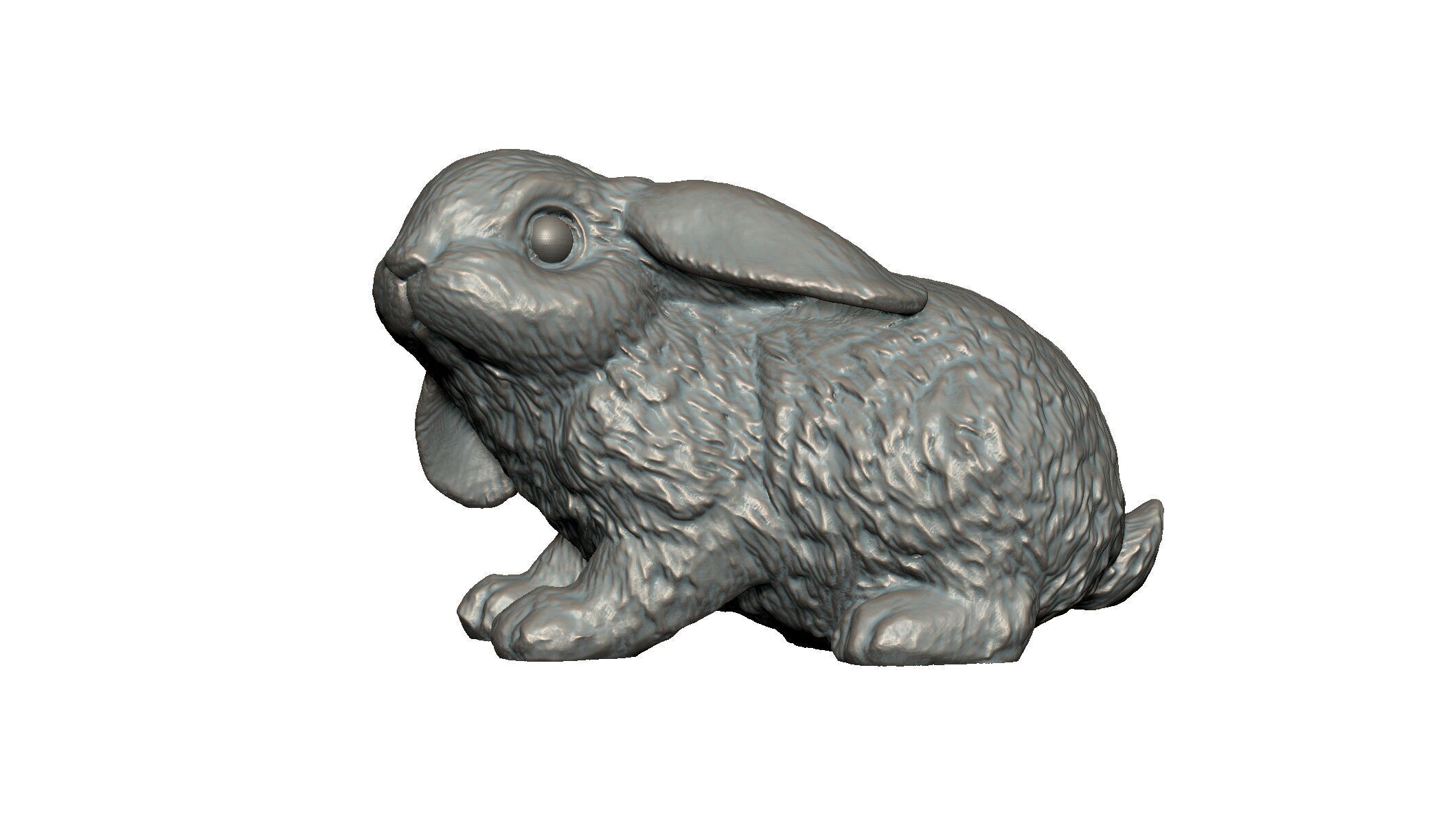 rabbit 3D print model_3