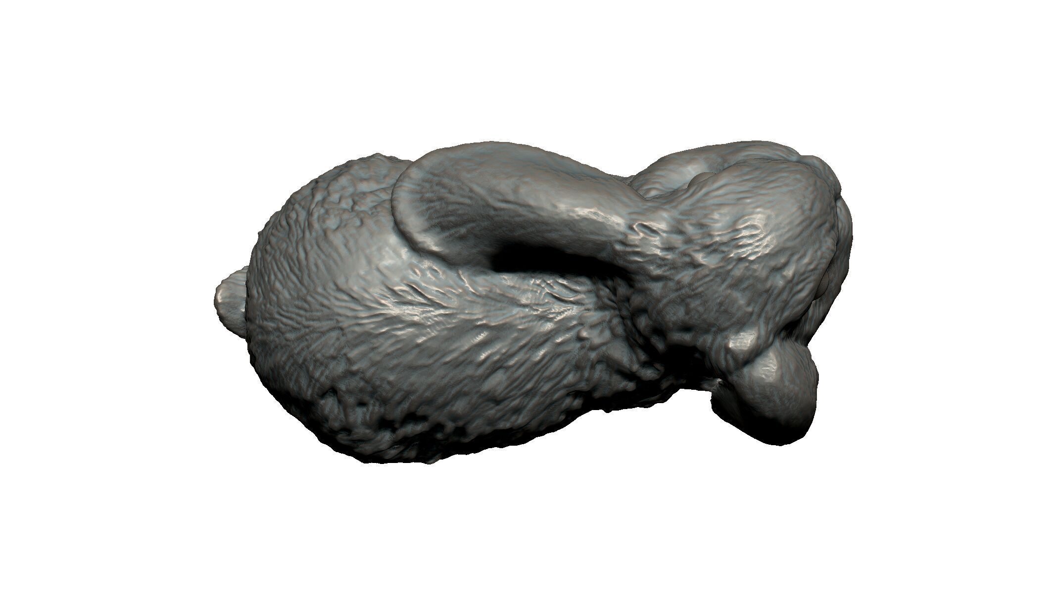 rabbit 3D print model_5