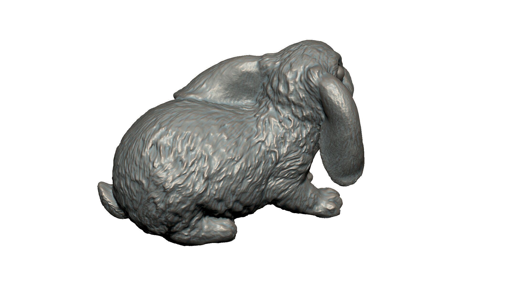 rabbit 3D print model_4