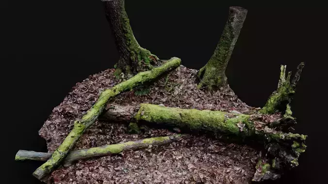 forest ground tree mossy branches debris pt3 photogrammetry