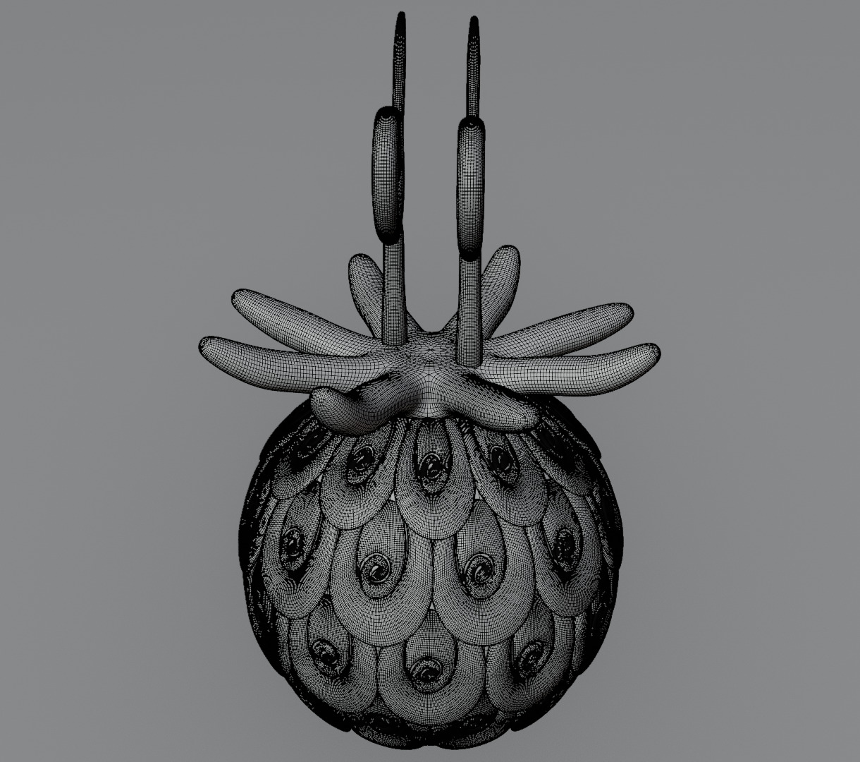 Uo uo no mi devil fruit from one piece 3D model for 3D print 3D print model_15