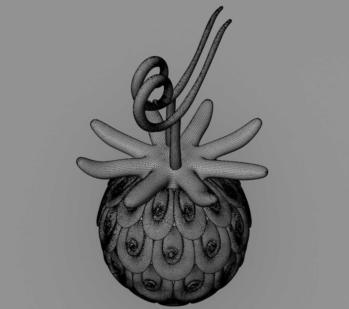 Uo uo no mi devil fruit from one piece 3D model for 3D print 3D print model_17