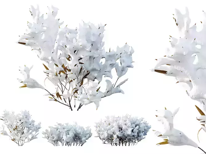 AV Plants Salvia Mexican Sage Santa Barbara Winter Snow 3D model