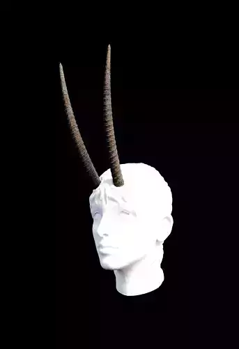 Spiral Ridge Beast Horns 3D model