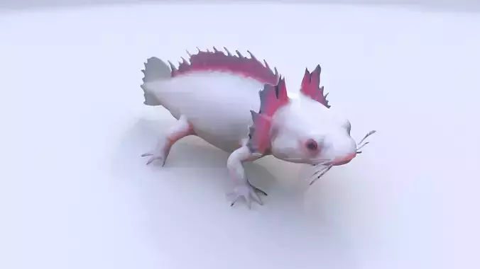 Axolotl