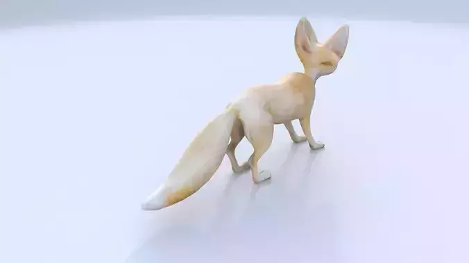 Fennec Fox