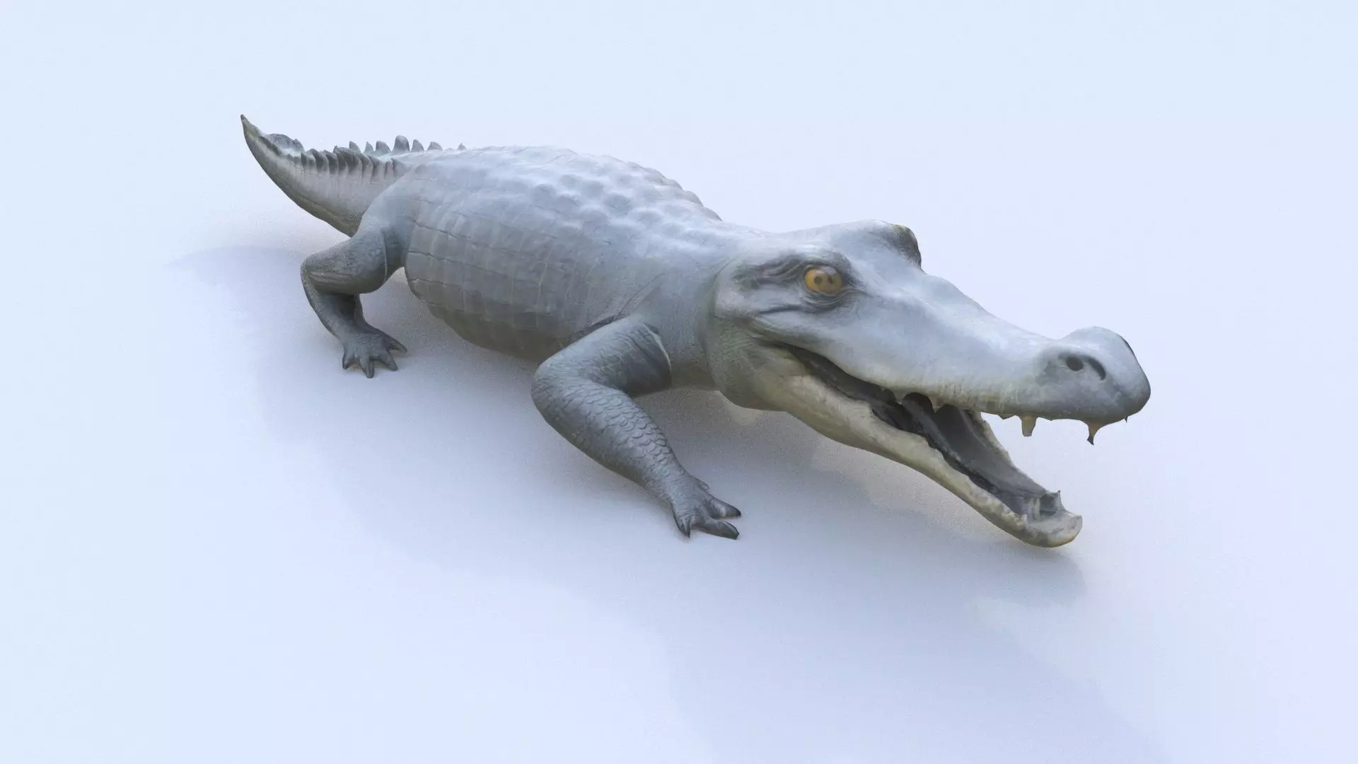 Gharial 3D model