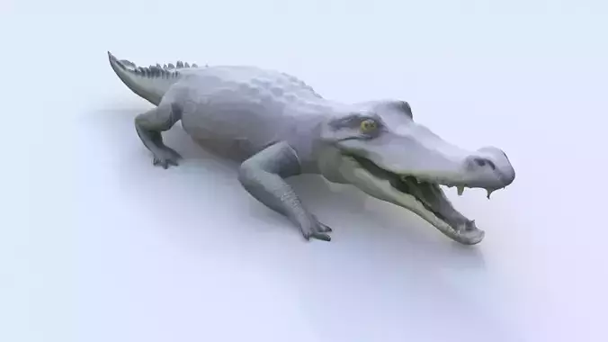 Gharial 3D model
