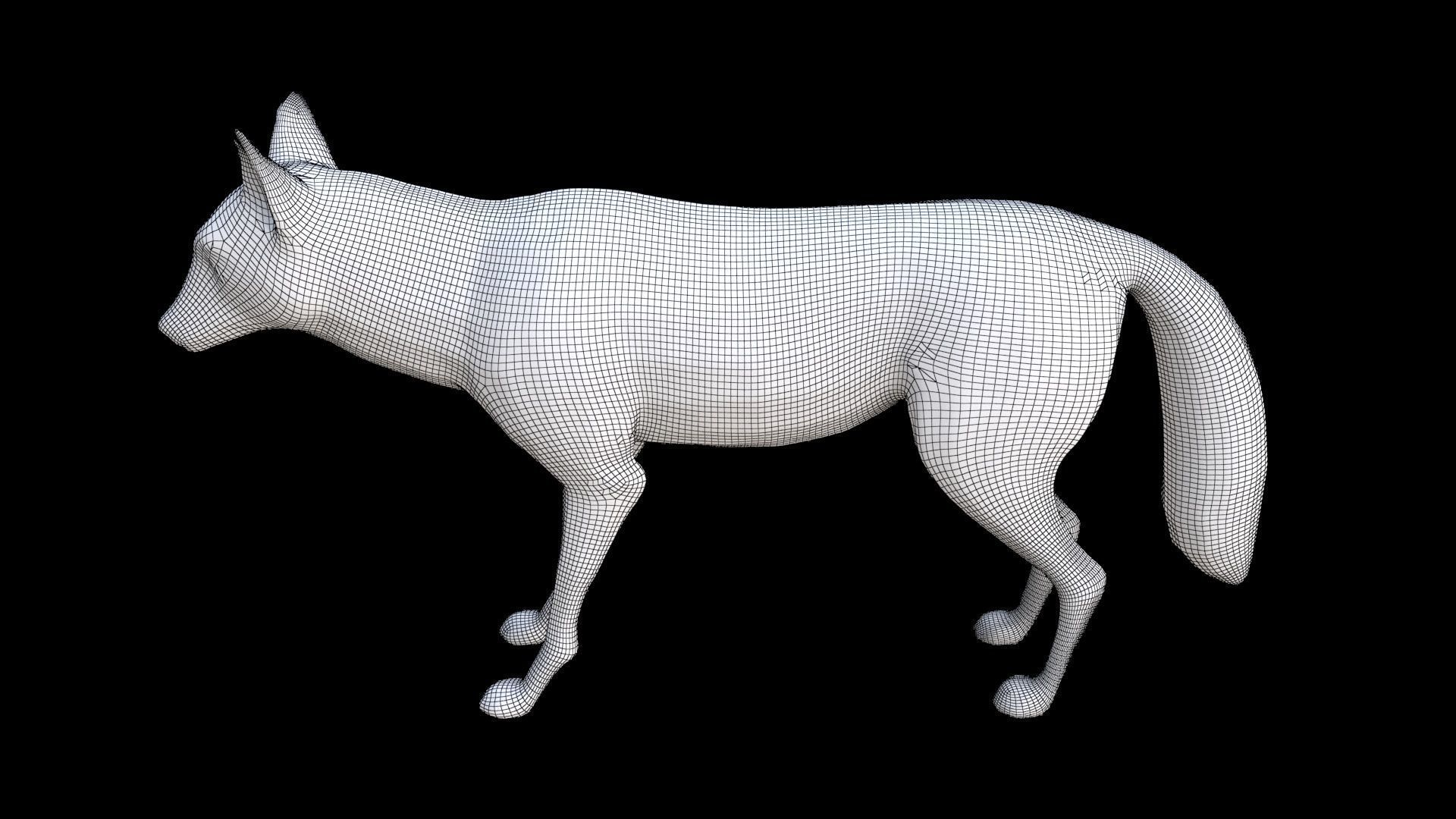 Maned Wolf 3D model_7