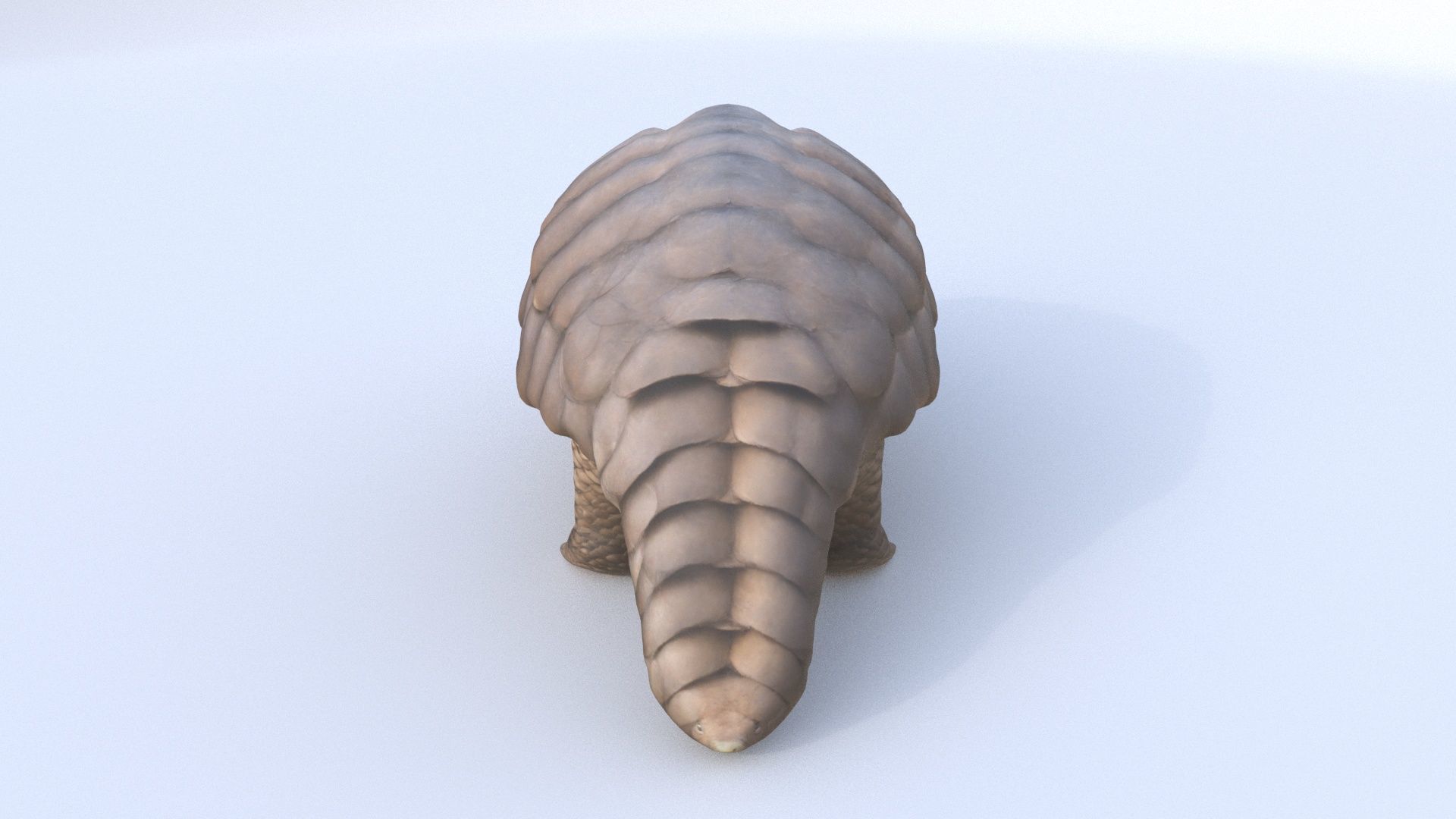 Pangolin 3D model_4