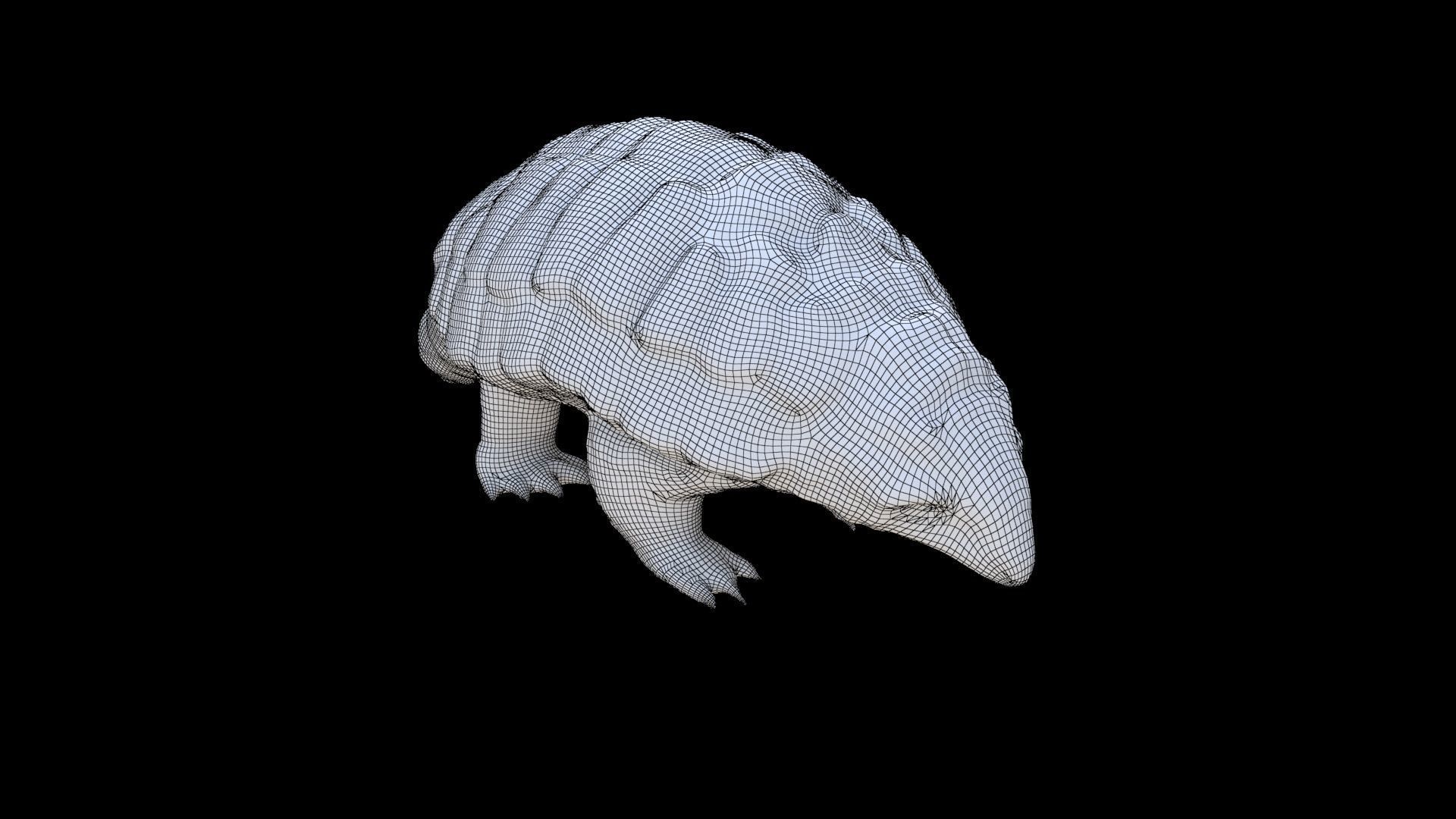 Pangolin 3D model_5