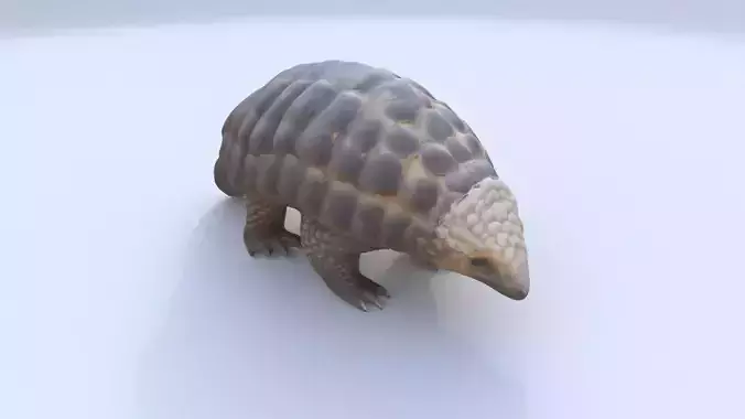 Pangolin