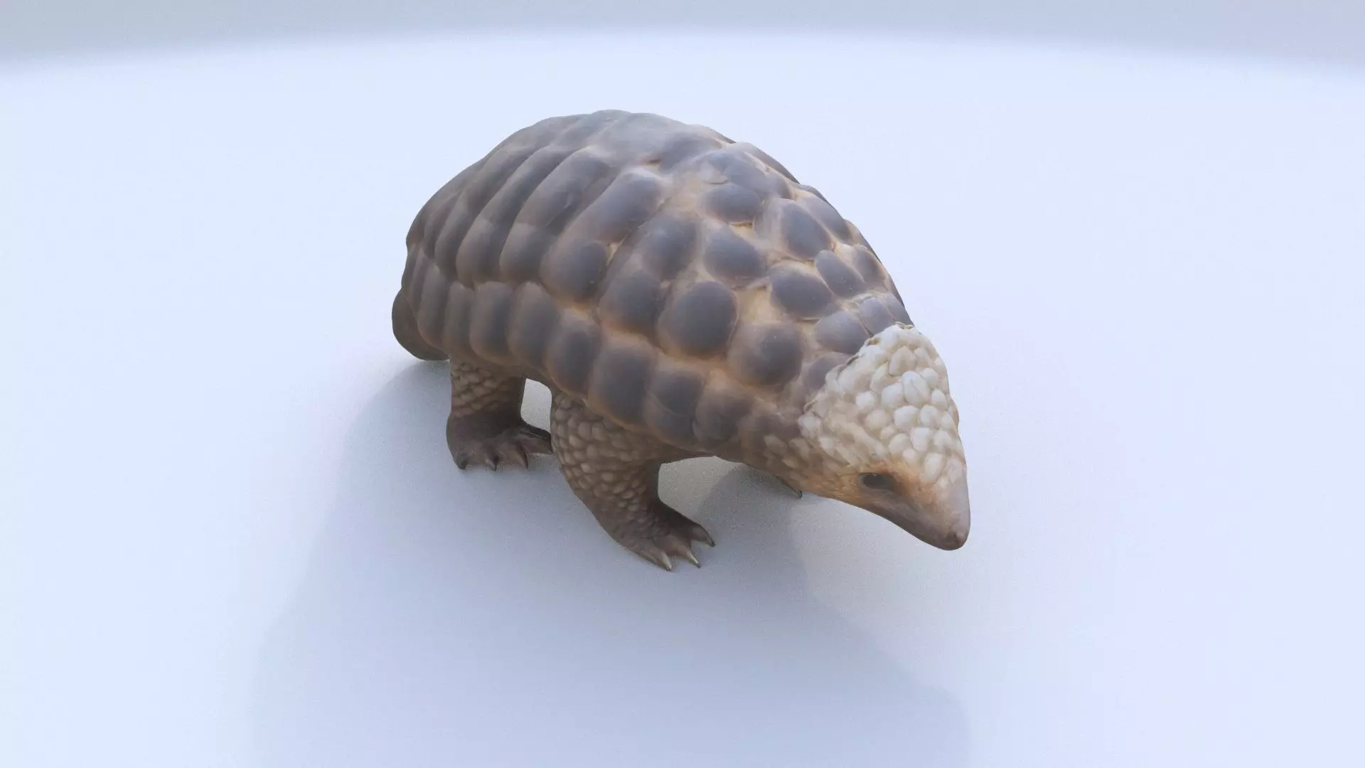 Pangolin 3D model_0