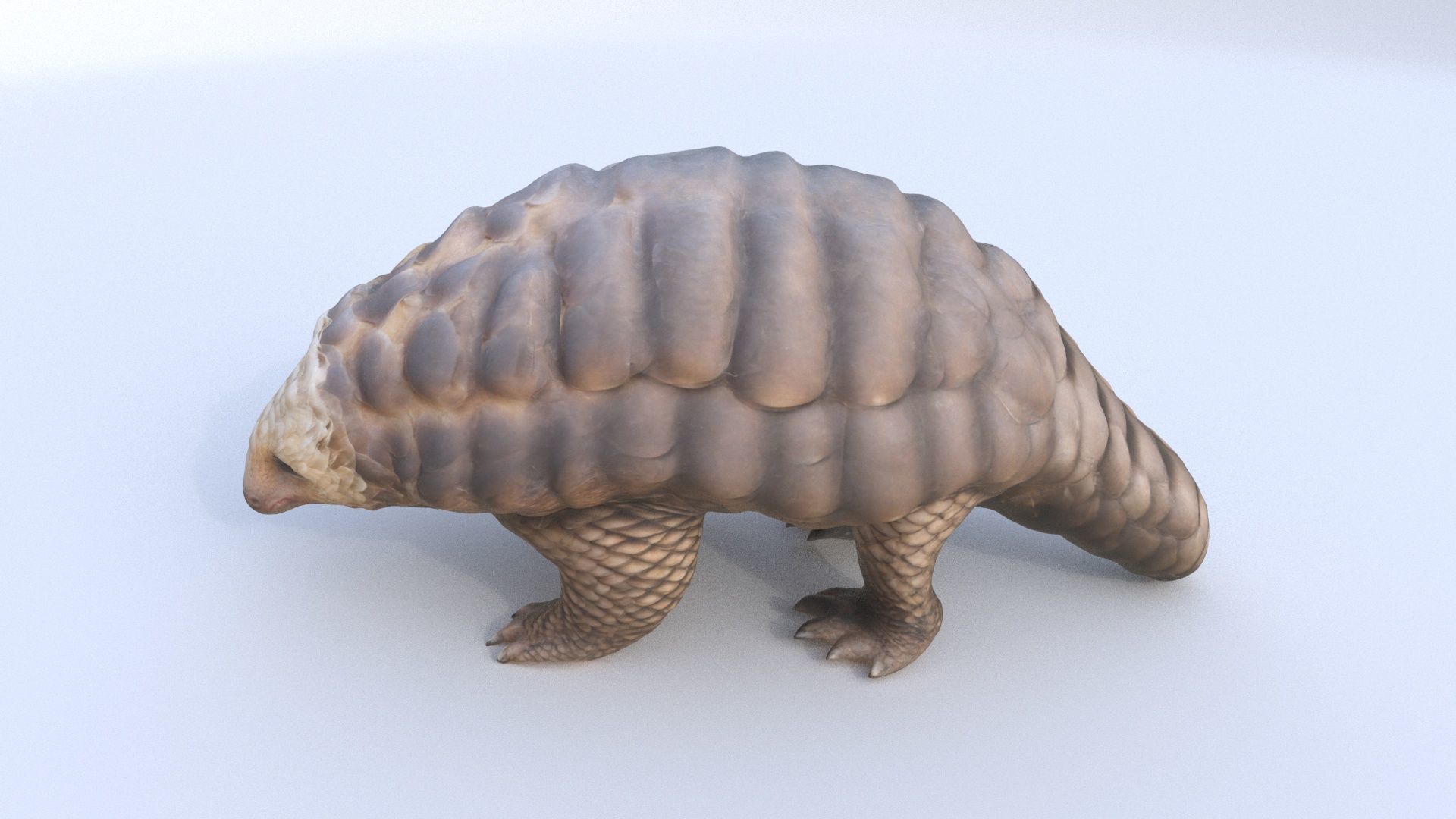 Pangolin 3D model_2