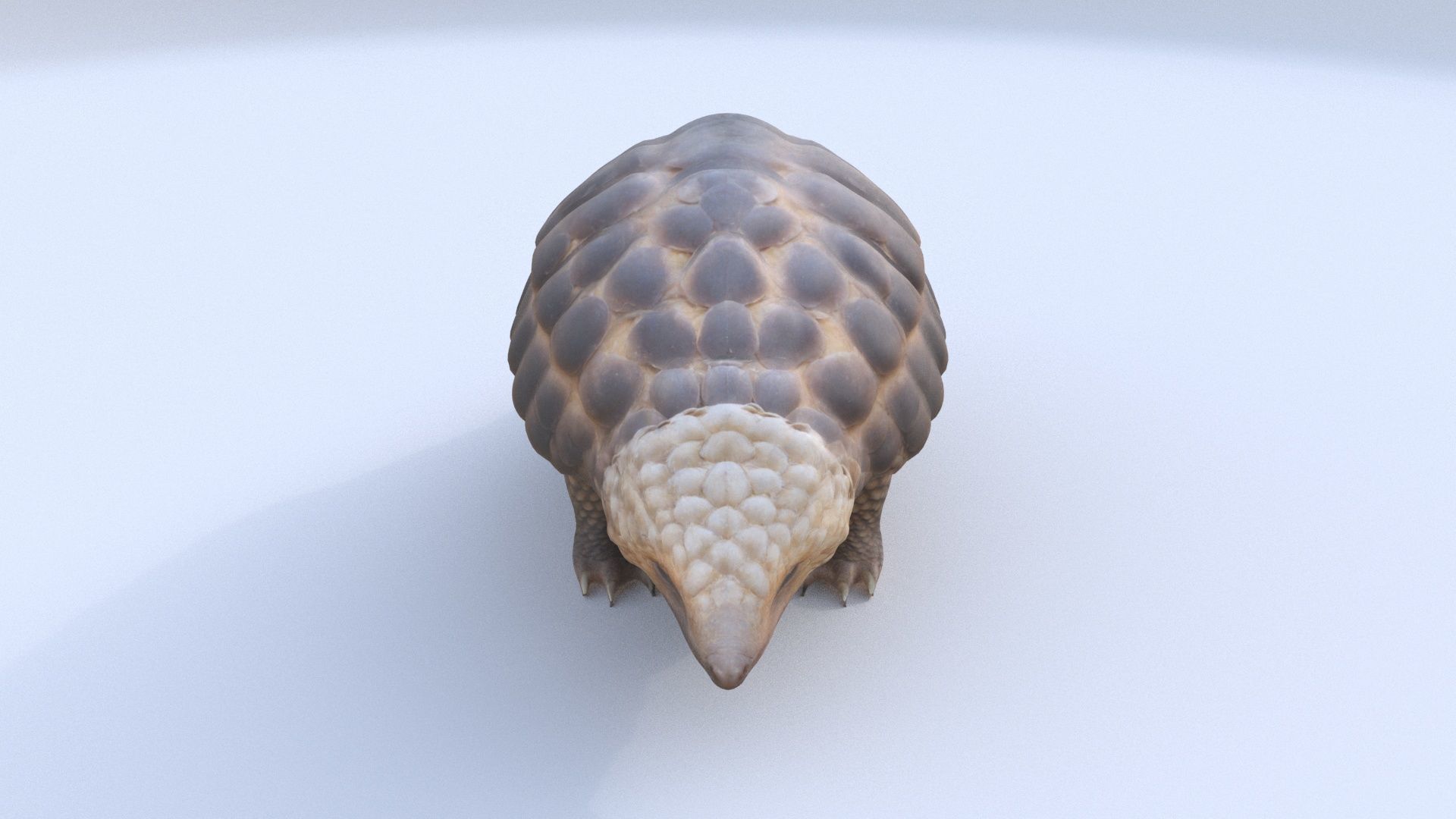 Pangolin 3D model_1