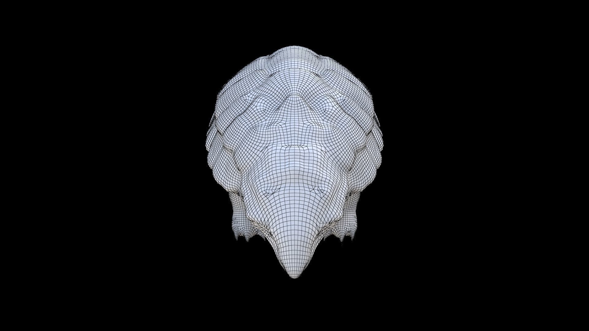 Pangolin 3D model_6
