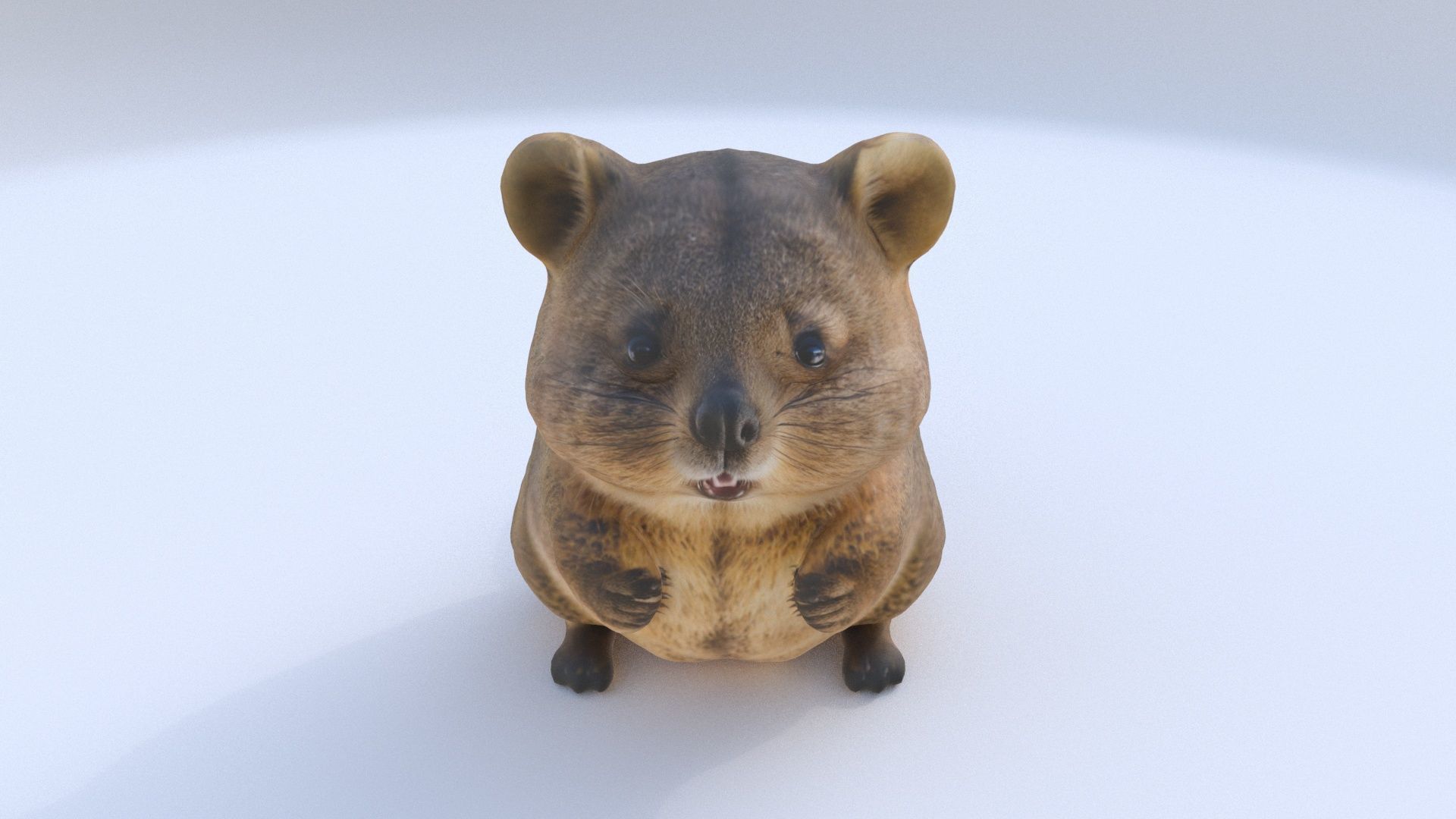 Quokka 3D model_1