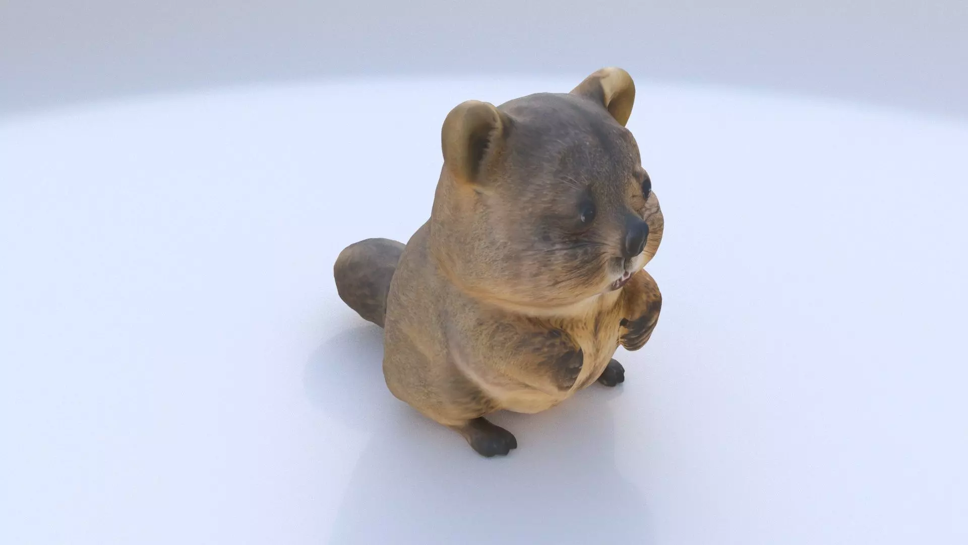 Quokka 3D model_0