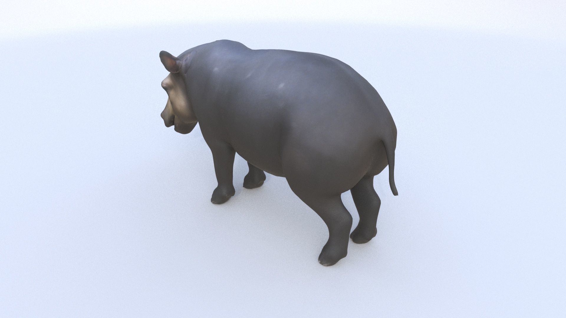 Tapir 3D model_3