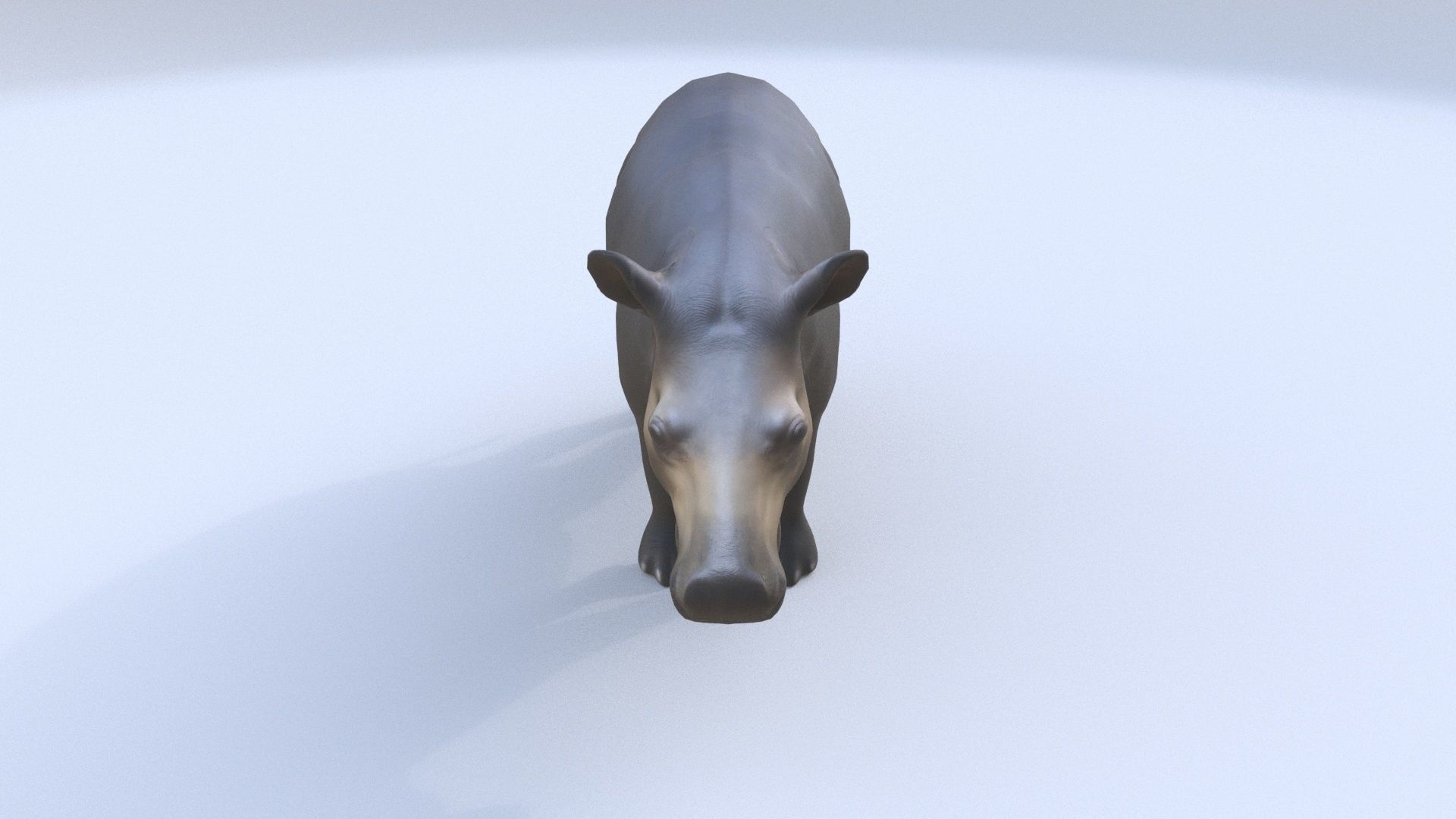Tapir 3D model_1