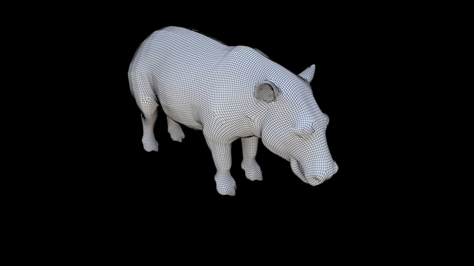 Tapir 3D model_5