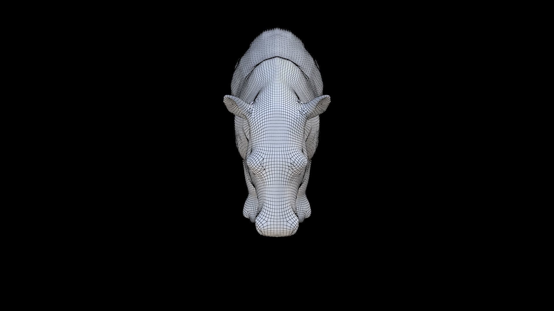 Tapir 3D model_6