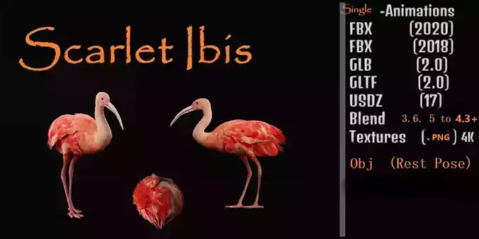 Scarlet Red Ibis Bird Low-poly 3D model