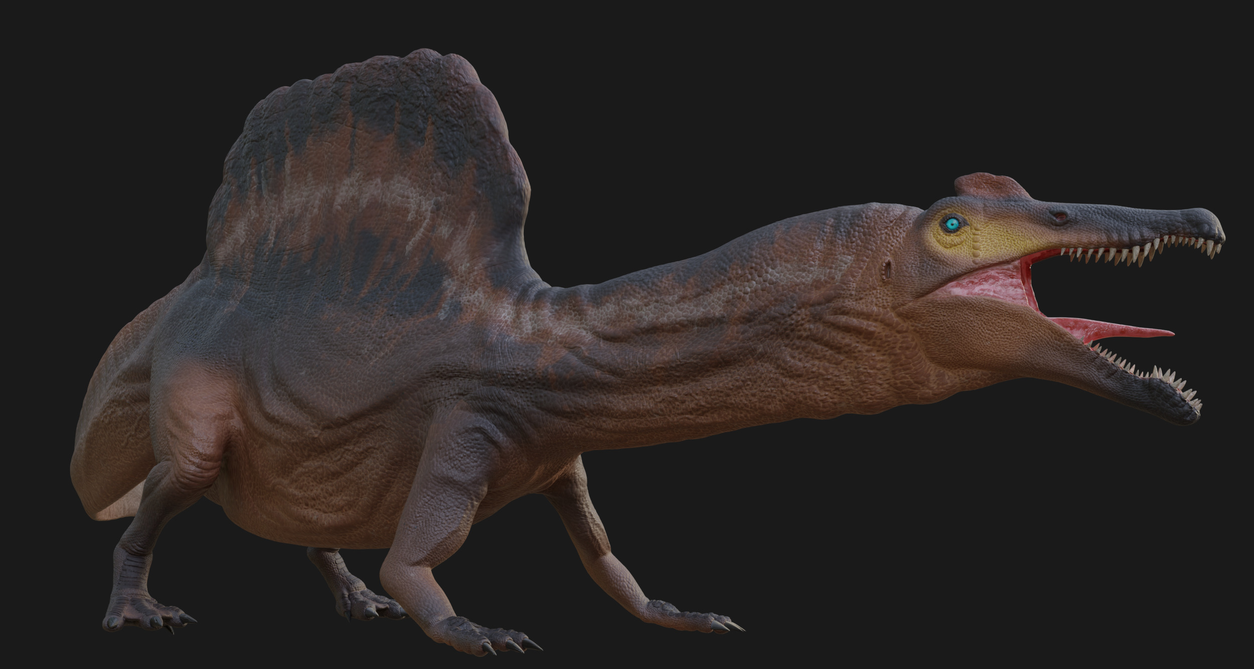 Spinosaurus Low-poly 3D model_6