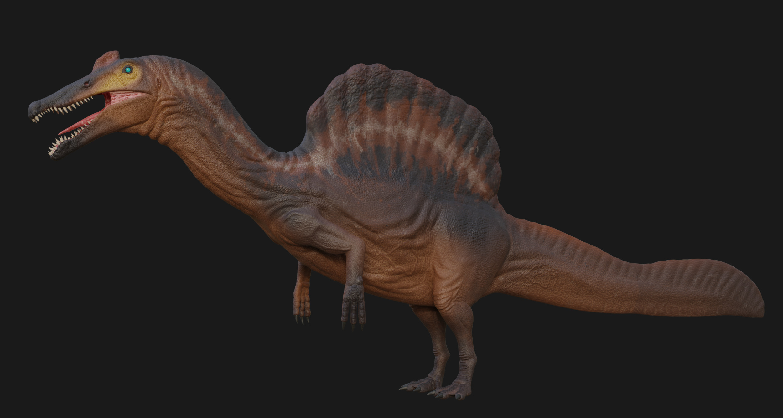Spinosaurus Low-poly 3D model_2