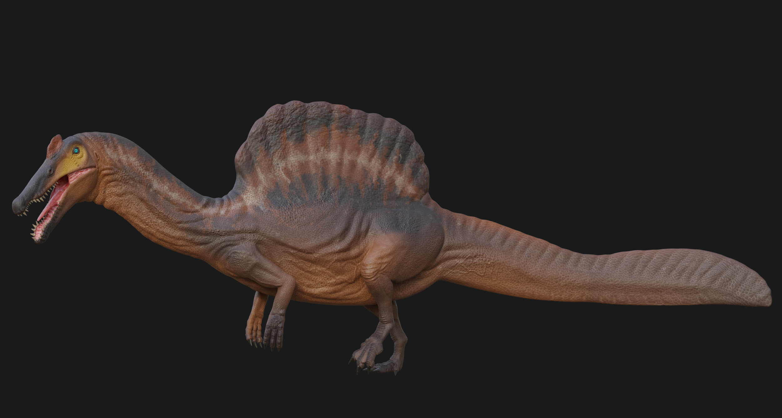 Spinosaurus Low-poly 3D model_4
