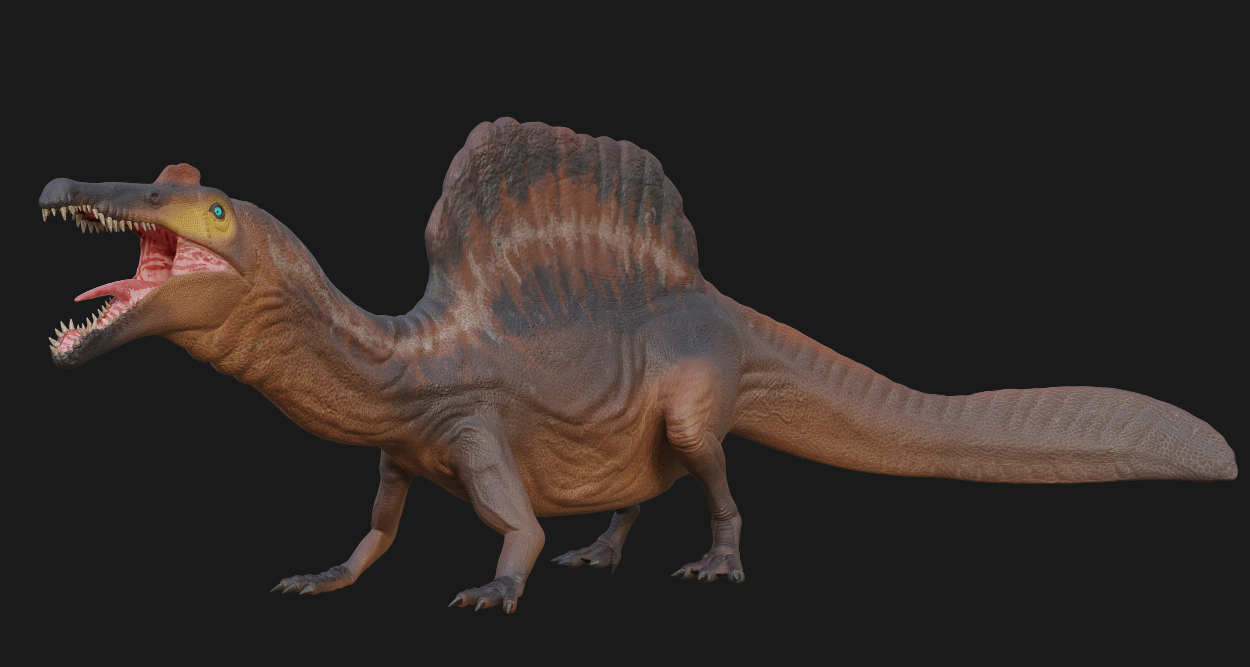 Spinosaurus Low-poly 3D model_5